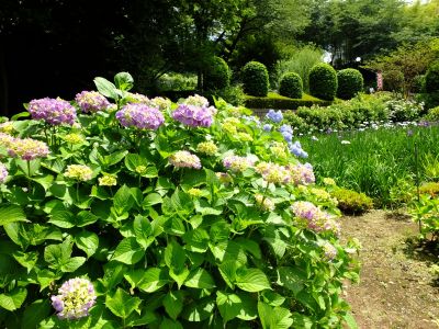 正覚寺（しょうがくじ）
