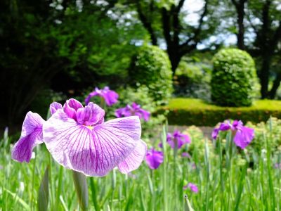 正覚寺（しょうがくじ）
