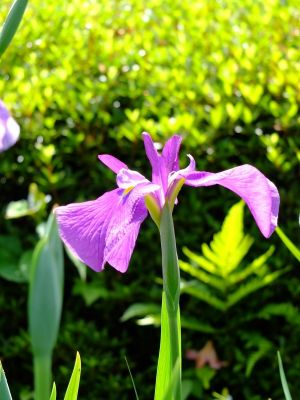 正覚寺（しょうがくじ）
