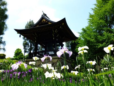 正覚寺（しょうがくじ）
