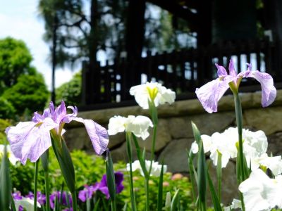 正覚寺（しょうがくじ）
