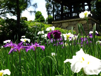 正覚寺（しょうがくじ）
