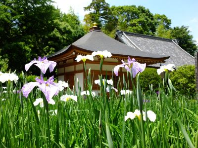 正覚寺（しょうがくじ）
