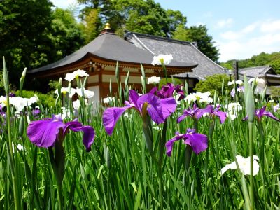 正覚寺（しょうがくじ）
