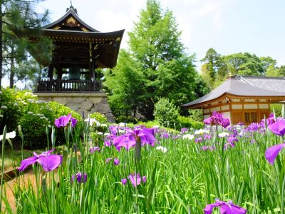 正覚寺（しょうがくじ）

