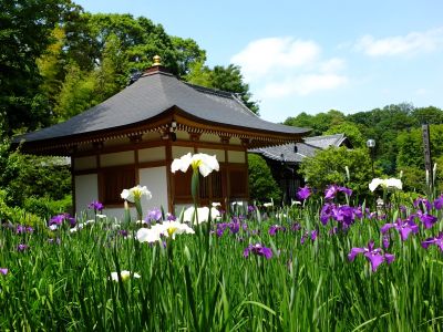 正覚寺（しょうがくじ）
