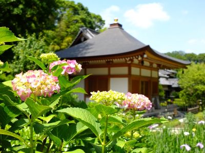 正覚寺（しょうがくじ）
