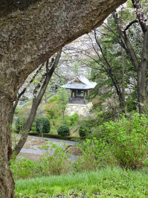 正覚寺
