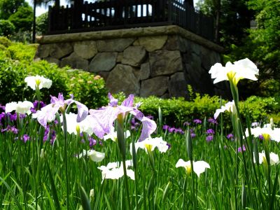 正覚寺（しょうがくじ）
