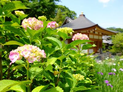 正覚寺（しょうがくじ）
