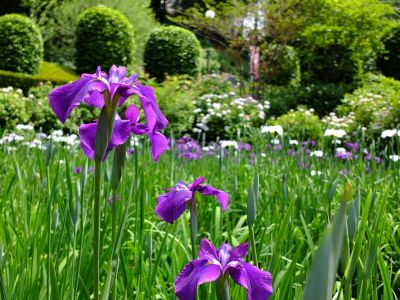 正覚寺（しょうがくじ）

