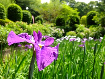 正覚寺（しょうがくじ）
