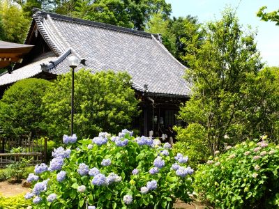 正覚寺（しょうがくじ）
