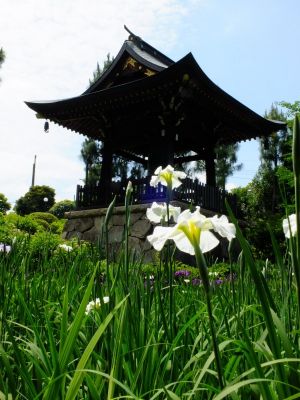 正覚寺（しょうがくじ）
