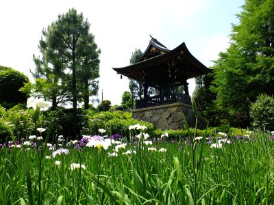 正覚寺（しょうがくじ）
