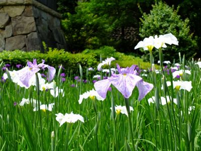 正覚寺（しょうがくじ）
