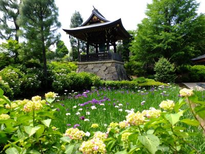 正覚寺（しょうがくじ）
