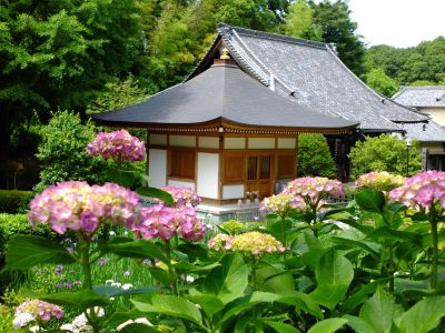 正覚寺（しょうがくじ）
