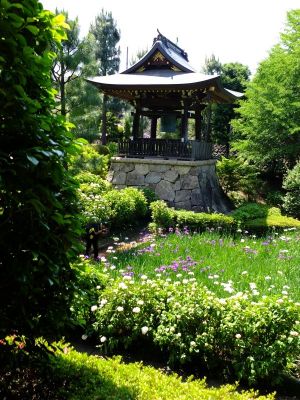 正覚寺（しょうがくじ）
