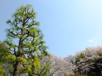 正覚寺（しょうがくじ）
