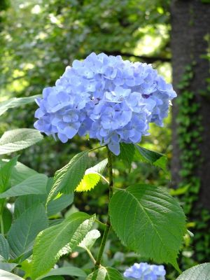 正覚寺（しょうがくじ）
