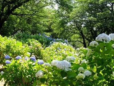 正覚寺（しょうがくじ）
