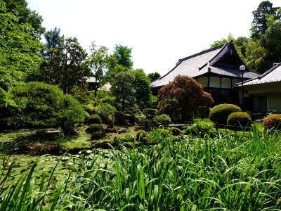 正覚寺（しょうがくじ）
