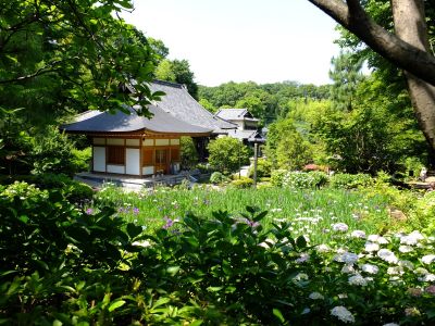 正覚寺（しょうがくじ）
