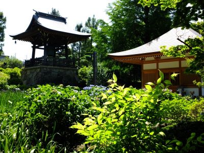 正覚寺（しょうがくじ）
