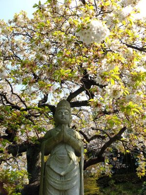 正覚寺（しょうがくじ）
