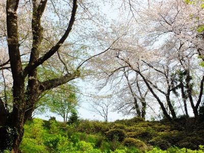 正覚寺（しょうがくじ）

