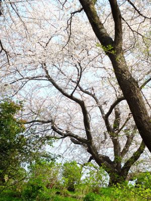 正覚寺（しょうがくじ）
