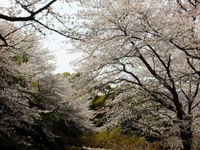 正覚寺（しょうがくじ）
