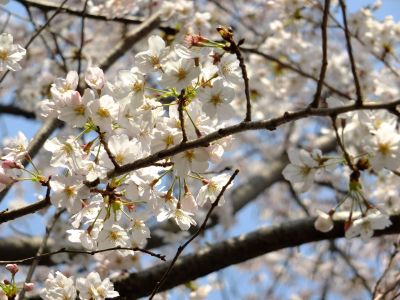 正覚寺（しょうがくじ）
