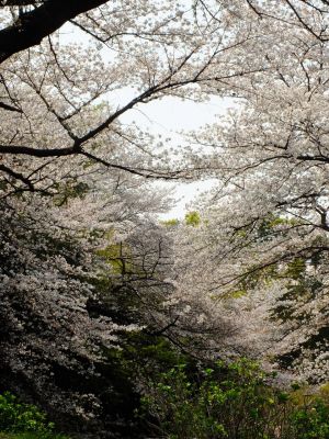 正覚寺（しょうがくじ）
