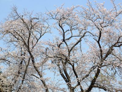 正覚寺（しょうがくじ）
