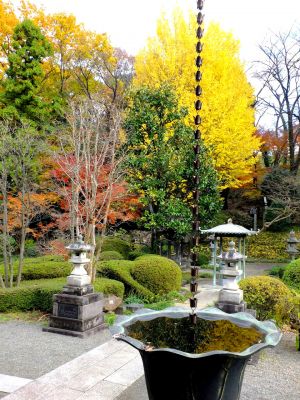 天台宗　長窪山正覚寺
