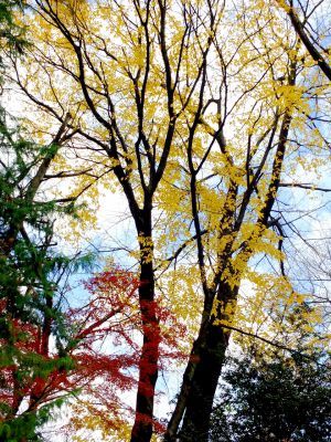 天台宗　長窪山正覚寺
