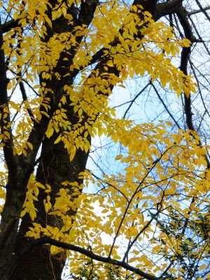 天台宗　長窪山正覚寺
