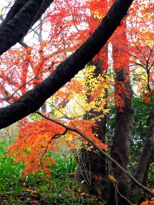 天台宗　長窪山正覚寺
