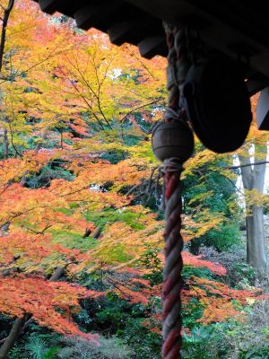 天台宗　長窪山正覚寺

