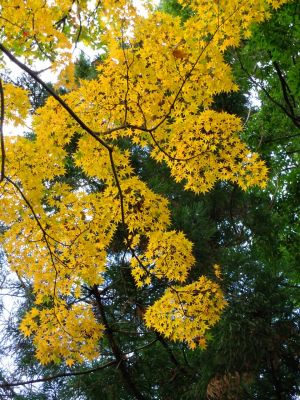 天台宗　長窪山正覚寺
