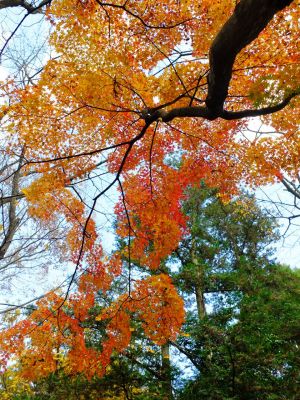 天台宗　長窪山正覚寺
