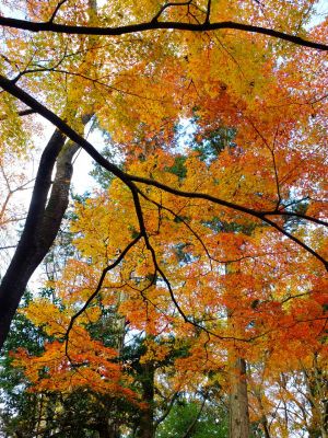 天台宗　長窪山正覚寺
