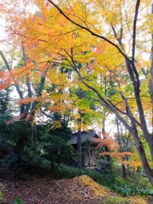 天台宗　長窪山正覚寺
