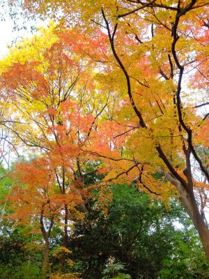 天台宗　長窪山正覚寺
