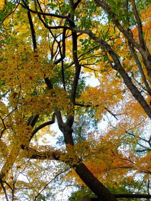 天台宗　長窪山正覚寺
