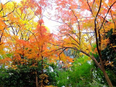 天台宗　長窪山正覚寺
