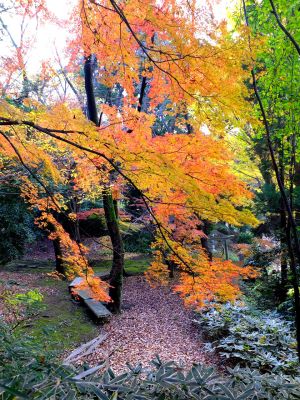 天台宗　長窪山正覚寺
