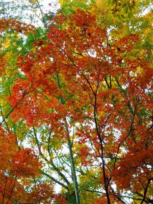 天台宗　長窪山正覚寺

